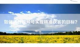 如何通过视频号实现精准获客的目标？