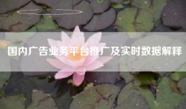国内广告业务平台推广及实时数据解释