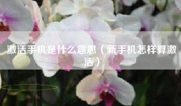 激活手机是什么意思（新手机怎样算激活）