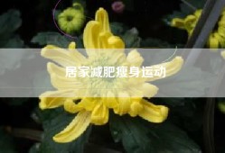 居家减肥瘦身运动