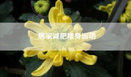 居家减肥瘦身运动