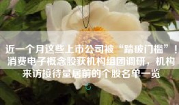 近一个月这些上市公司被“踏破门槛”！消费电子概念股获机构组团调研，机构来访接待量居前的个股名单一览
