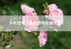 手机信号（手机信号检测仪器）