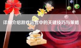 详细介绍游戏运营中的关键技巧与策略