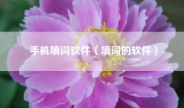 手机填词软件（填词的软件）