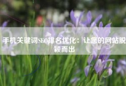 手机关键词SEO排名优化：让您的网站脱颖而出
