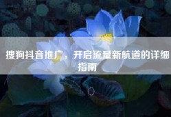 搜狗抖音推广，开启流量新航道的详细指南