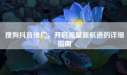 搜狗抖音推广，开启流量新航道的详细指南