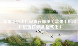 苹果手机出厂设置在哪里（苹果手机出厂设置在哪里 格式化）