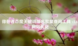 徘徊者百度关键词排名批量查询工具 v1.6 网站优化