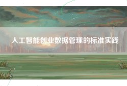 人工智能创业数据管理的标准实践