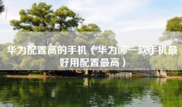 华为配置高的手机（华为哪一款手机最好用配置最高）