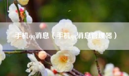 手机qq消息（手机qq消息管理器）