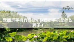 双面屏手机有哪些（双面屏手机是什么牌子）
