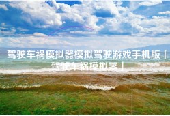 驾驶车祸模拟器模拟驾驶游戏手机版「驾驶车祸模拟器」