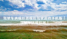 驾驶车祸模拟器模拟驾驶游戏手机版「驾驶车祸模拟器」