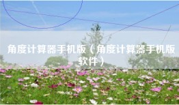 角度计算器手机版（角度计算器手机版软件）