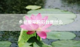 永州爱采购后台是什么