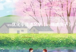 seo优化中描述文字（seo描述例子）