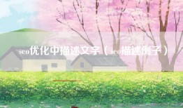 seo优化中描述文字（seo描述例子）