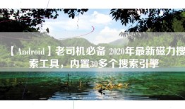 【Android】老司机必备 2020年最新磁力搜索工具，内置30多个搜索引擎