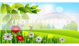 手机哪款好（小米手机哪款好）