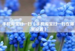 手机淘宝扫一扫（手机淘宝扫一扫在哪里设置）