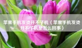 苹果手机发烫开不了机（苹果手机发烫开不了机是怎么回事）