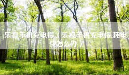 乐视手机充电慢（乐视手机充电慢,耗电快怎么办）