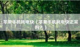 苹果手机耗电快（苹果手机耗电快正常吗？）