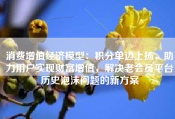 消费增值经济模型：积分单边上扬，助力用户实现财富增值，解决老会员平台历史泡沫问题的新方案