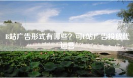 B站广告形式有哪些？可b站广告投放代运营