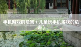 手机游戏的危害（儿童玩手机游戏的危害）
