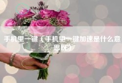 手机里一键（手机里一键加速是什么意思呀）