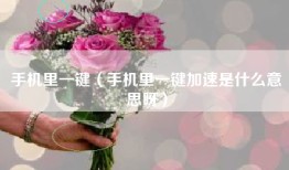 手机里一键（手机里一键加速是什么意思呀）