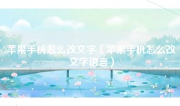 苹果手机怎么改文字（苹果手机怎么改文字语言）