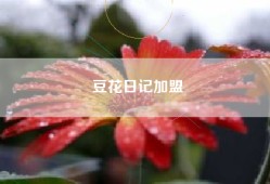 豆花日记加盟