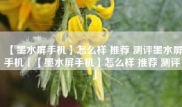【墨水屏手机】怎么样 推荐 测评墨水屏手机「【墨水屏手机】怎么样 推荐 测评」