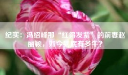 纪实：冯绍峰那“红得发紫”的前妻赵丽颖，如今到底有多牛？