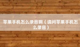 苹果手机怎么录音啊（请问苹果手机怎么录音）