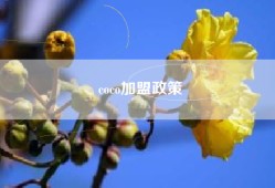 coco加盟政策