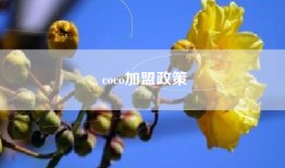 coco加盟政策