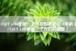 CECT A100使用一个月后的感受CECT手机「CECT A100使用一个月后的感受」