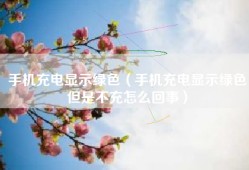 手机充电显示绿色（手机充电显示绿色但是不充怎么回事）