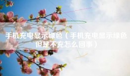 手机充电显示绿色（手机充电显示绿色但是不充怎么回事）