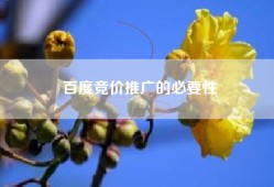 百度竞价推广的必要性