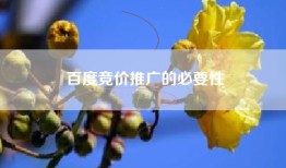 百度竞价推广的必要性