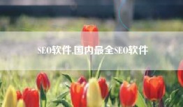 SEO软件,国内最全SEO软件