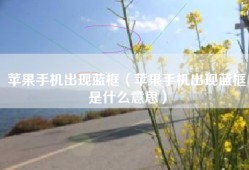 苹果手机出现蓝框（苹果手机出现蓝框是什么意思）