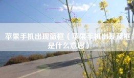苹果手机出现蓝框（苹果手机出现蓝框是什么意思）
